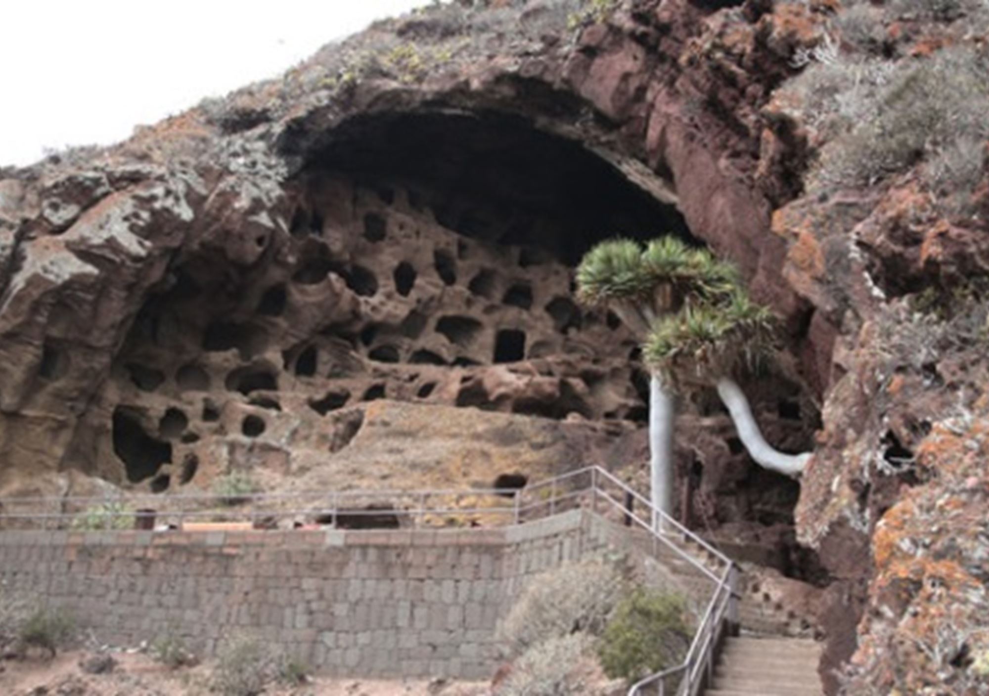 reservar tours excursiones de los Aromas del Norte y Vinos de Gran Canaria